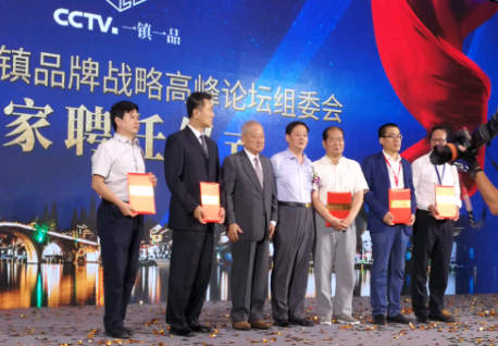 中国特色小镇品牌战略高峰论坛(图7)